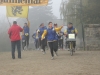 21 novembre 2010 Bergues photo 10